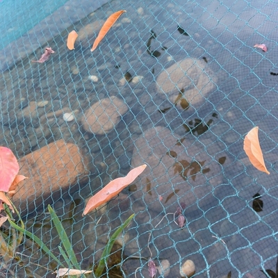 Starkes Extrakind prüfen feine Mesh Pond Netting Heron For-Waschbären