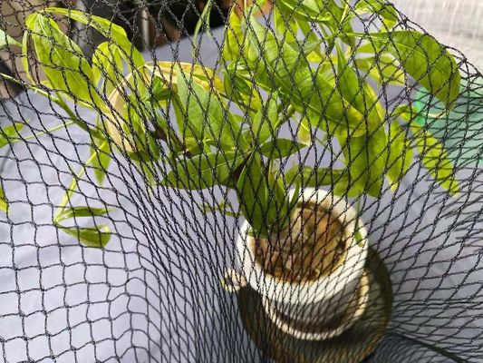 Pool-Antireiher Koi Fish Pond Net Protection bedeckt 15ft x 20ft HDPE