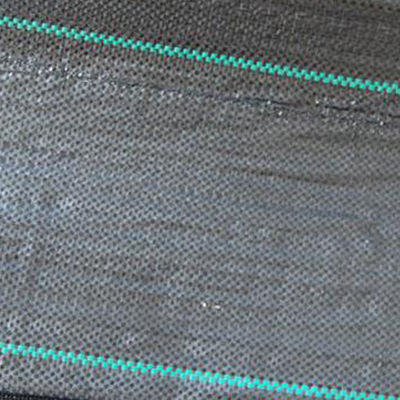 3m breite landschaftlich gestaltende industrielle Grad-Unkraut-Mattierung 3x 50 für Gemüsegarten