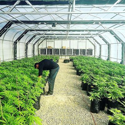 60% Patio im Freien Plastik-Agri-Schatten-Filetarbeit für Gemüsegarten