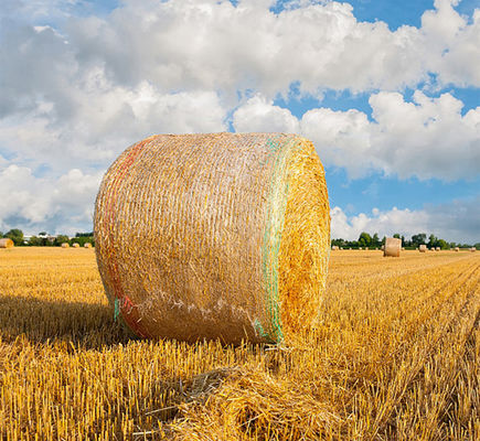 Netz-Verpackungs-Plastikdes ballen-8.33GSM anti-UV mit Hinweiszeile